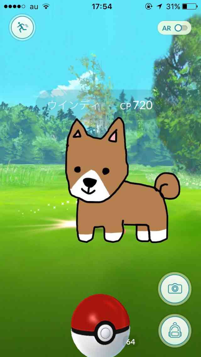 【お絵描き】犬をお散歩に連れていくトピ【コラ】
