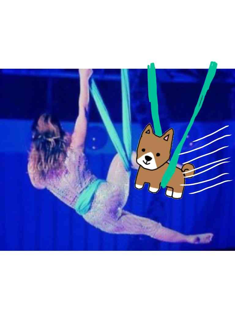 【お絵描き】犬をお散歩に連れていくトピ【コラ】