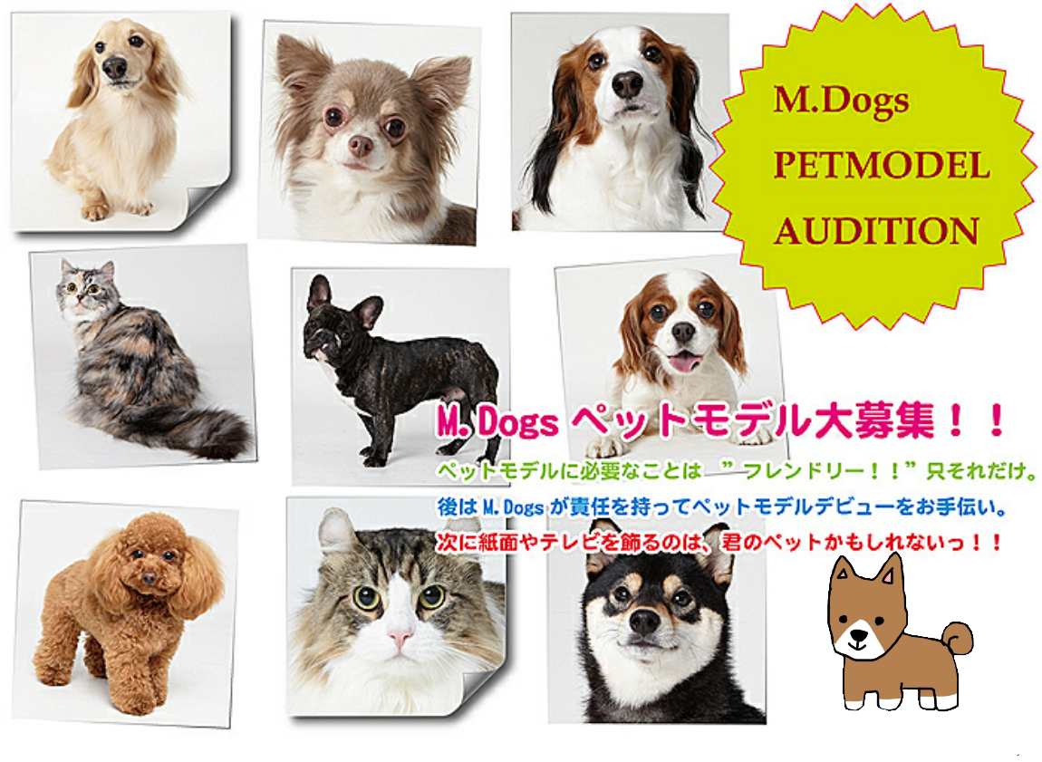 【お絵描き】犬をお散歩に連れていくトピ【コラ】