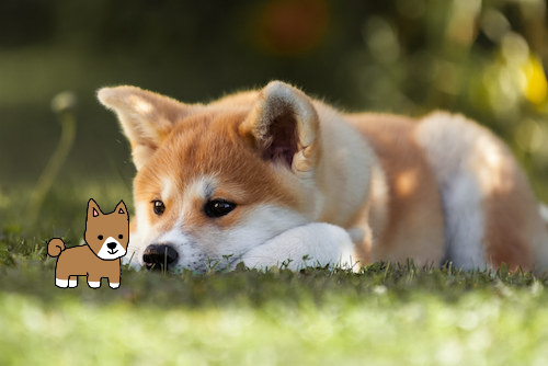 【お絵描き】犬をお散歩に連れていくトピ【コラ】