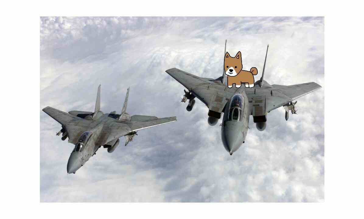 【お絵描き】犬をお散歩に連れていくトピ【コラ】