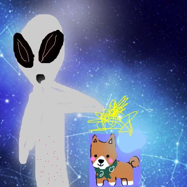 【お絵描き】犬をお散歩に連れていくトピ【コラ】