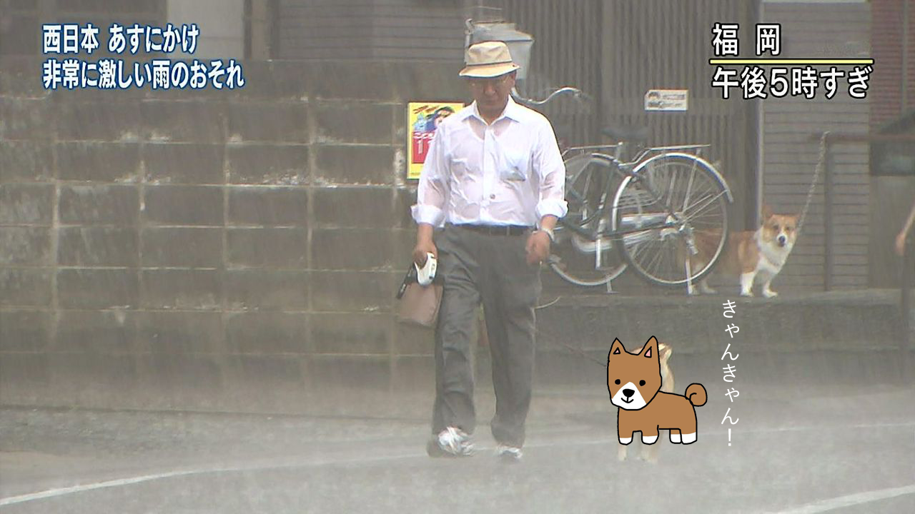 【お絵描き】犬をお散歩に連れていくトピ【コラ】