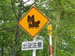 【お絵描き】犬をお散歩に連れていくトピ【コラ】