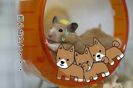 【お絵描き】犬をお散歩に連れていくトピ【コラ】