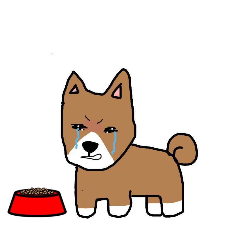 【お絵描き】犬をお散歩に連れていくトピ【コラ】