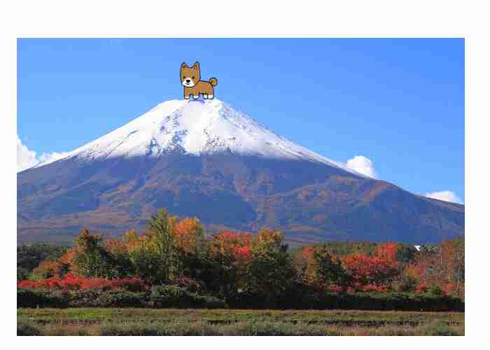 【お絵描き】犬をお散歩に連れていくトピ【コラ】