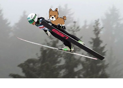 【お絵描き】犬をお散歩に連れていくトピ【コラ】