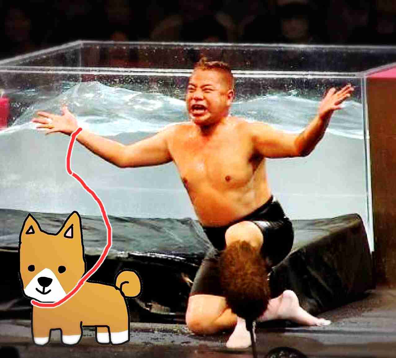 【お絵描き】犬をお散歩に連れていくトピ【コラ】