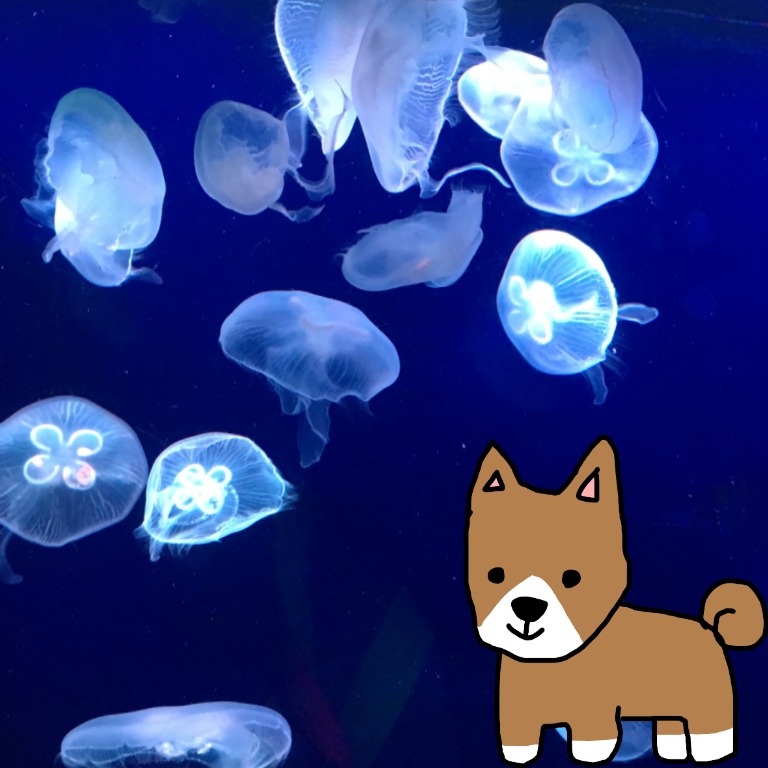 【お絵描き】犬をお散歩に連れていくトピ【コラ】
