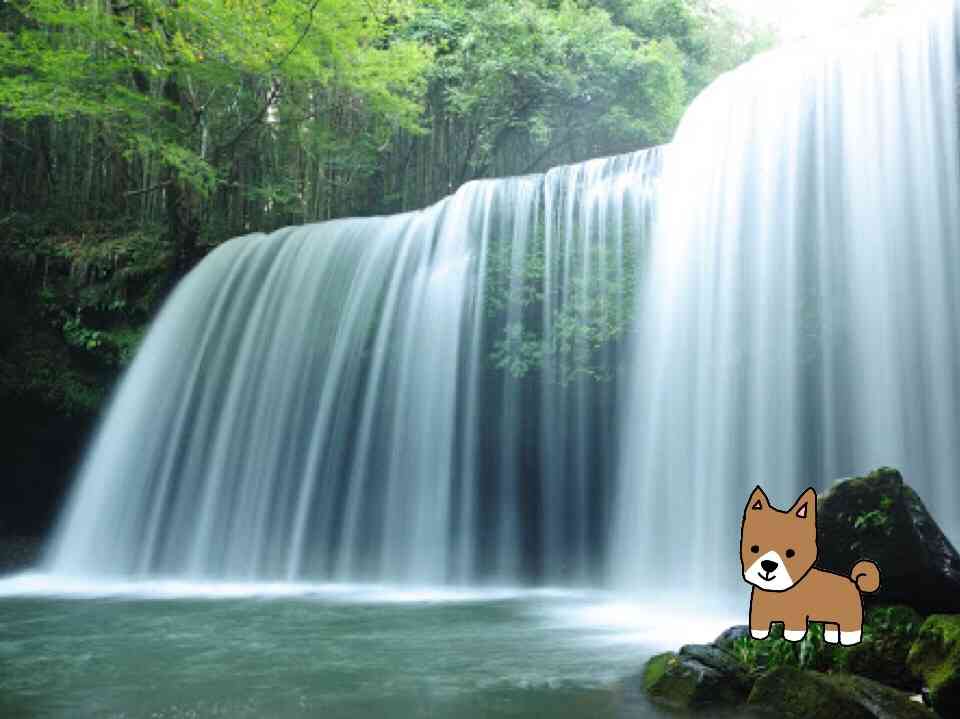 【お絵描き】犬をお散歩に連れていくトピ【コラ】