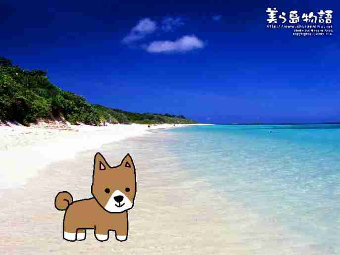 【お絵描き】犬をお散歩に連れていくトピ【コラ】