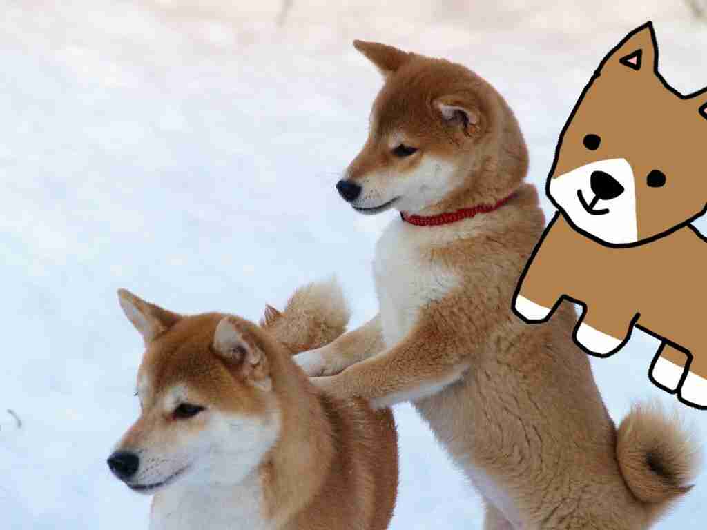 【お絵描き】犬をお散歩に連れていくトピ【コラ】
