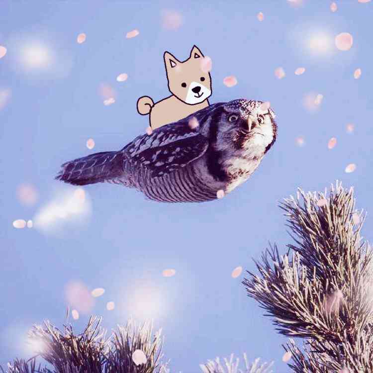 【お絵描き】犬をお散歩に連れていくトピ【コラ】