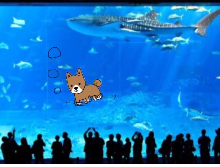 【お絵描き】犬をお散歩に連れていくトピ【コラ】