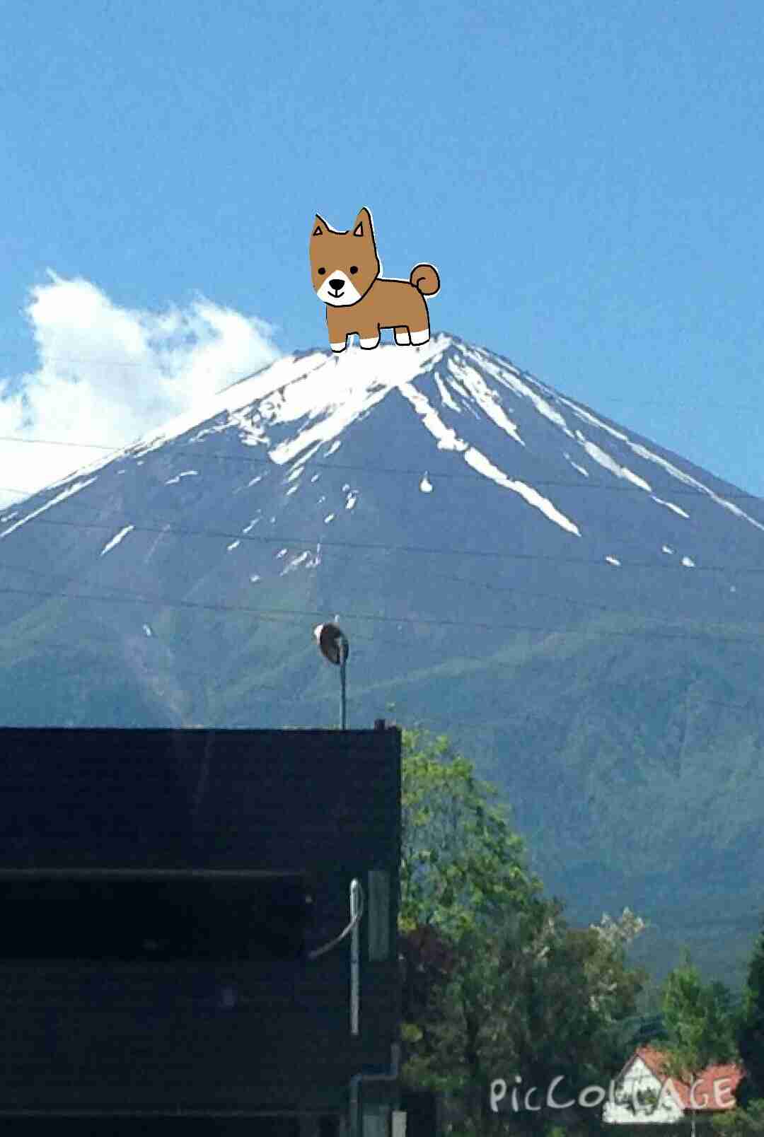 【お絵描き】犬をお散歩に連れていくトピ【コラ】