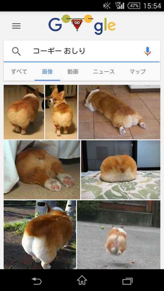 B型あるある