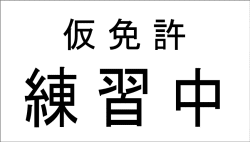 ガルちゃんで画像（サイト）を貼り付ける方法＆練習Part12