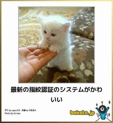 ガルちゃんで画像(サイト)を貼り付ける方法&練習Part12