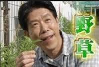 ガルちゃんで画像(サイト)を貼り付ける方法&練習Part12