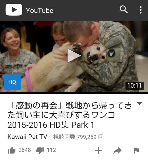 ガルちゃんで画像(サイト)を貼り付ける方法&練習Part12