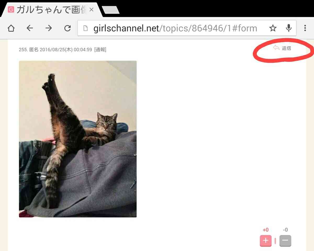ガルちゃんで画像(サイト)を貼り付ける方法&練習Part12