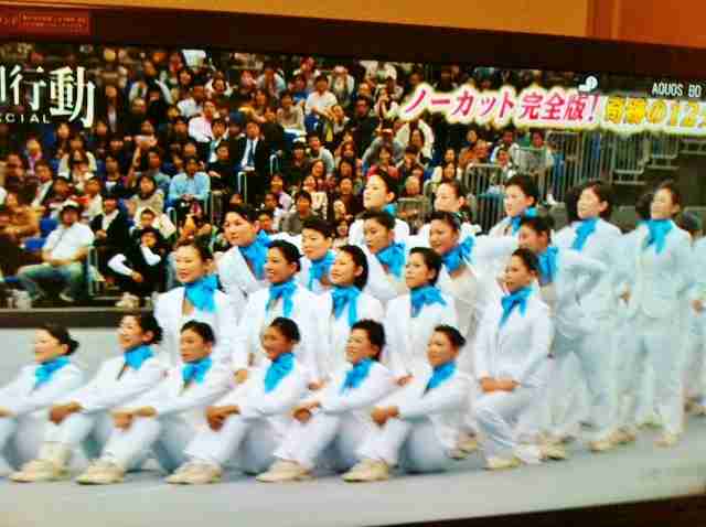 「トリハダ」、「ホラーアクシデンタル」好きな方！