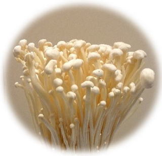 ゲスの極み乙女。川谷絵音が胸中を告白！「ベッキーはプロだな」