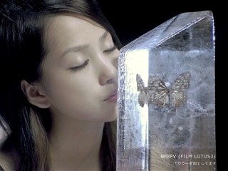 中島美嘉好きな人！