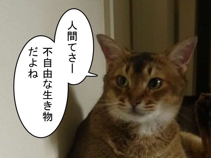 社会人あるある