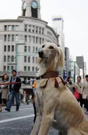 銀座あるある