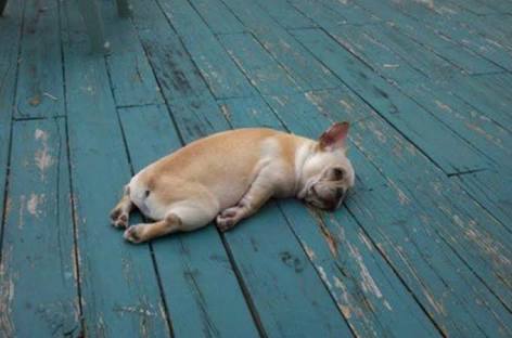 全て投げ出したくなる時ありますか