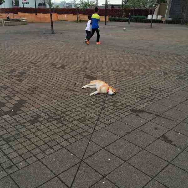 全て投げ出したくなる時ありますか