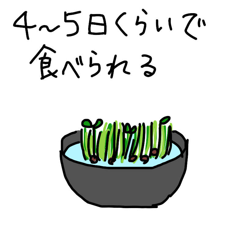 ひと言絵日記を描こう！のトピ