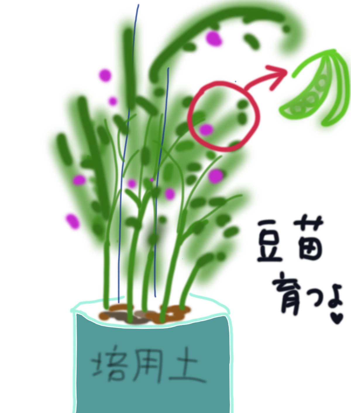 ひと言絵日記を描こう！のトピ