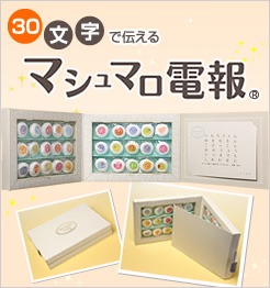 Cocco、スタッフの苦情で固定電話を購入 これまで電報で連絡とっていた