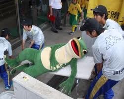 カエルグッズの画像をください。
