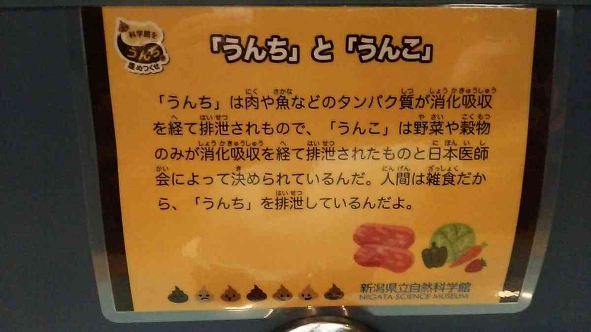 今月の雑談トピ【８月】