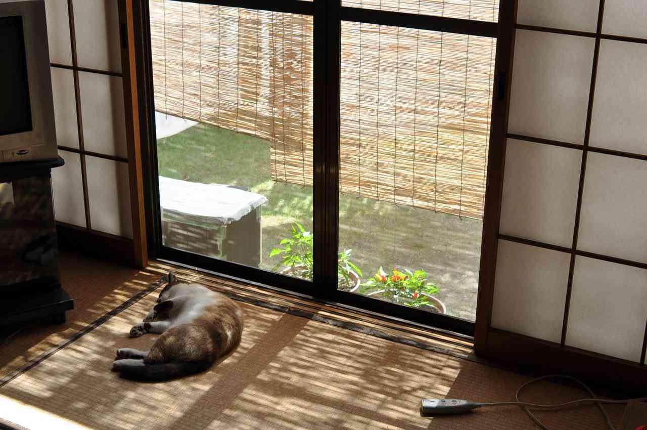日本の夏らしい画像を貼るトピ