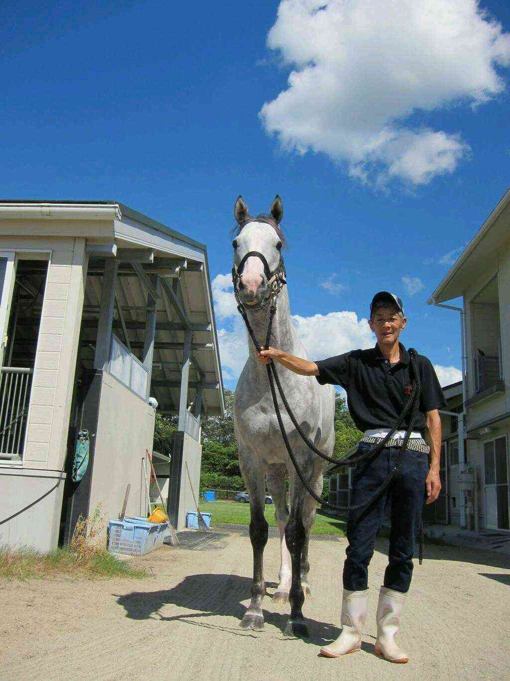 日本の夏らしい画像を貼るトピ