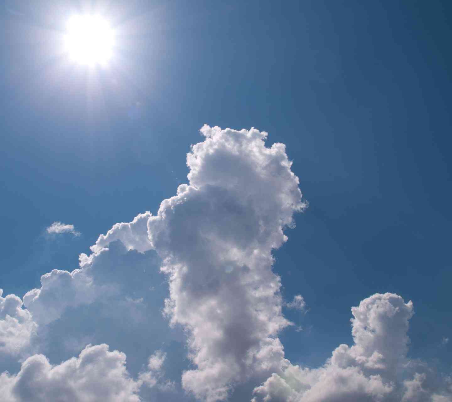 日本の夏らしい画像を貼るトピ