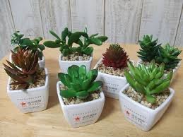 100均のお勧め品