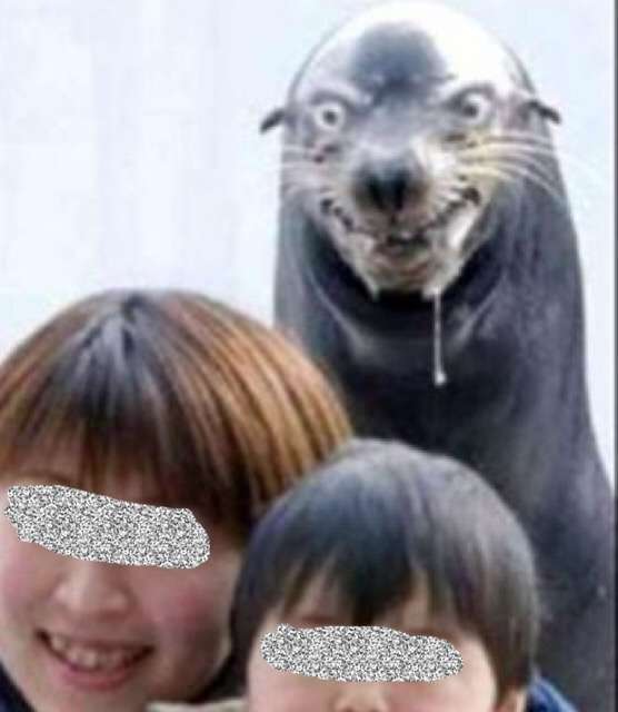 海遊館でダークサイドに堕ちたアザラシが目撃される