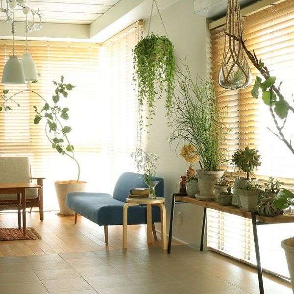 部屋がオシャレに見えるアイテム!
