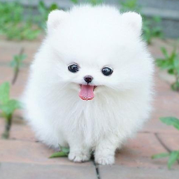 つなけてガルちゃんラブストーリーつくる