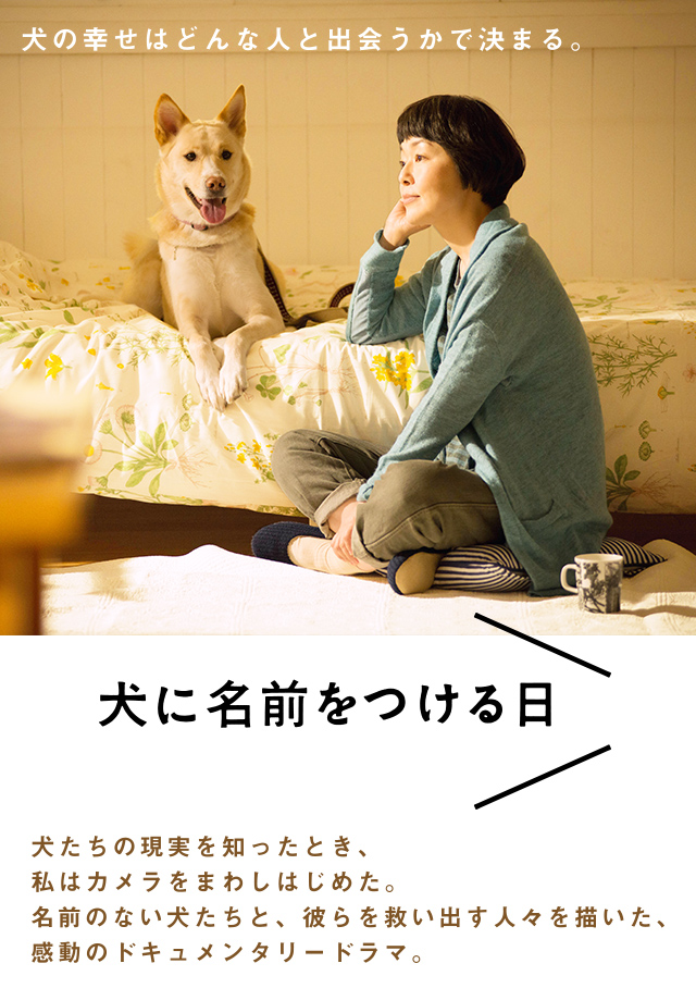 ミニシアター系のおススメ映画
