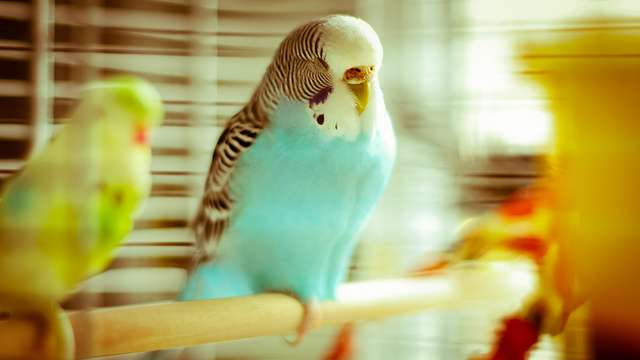 【画像】眠っている動物たち