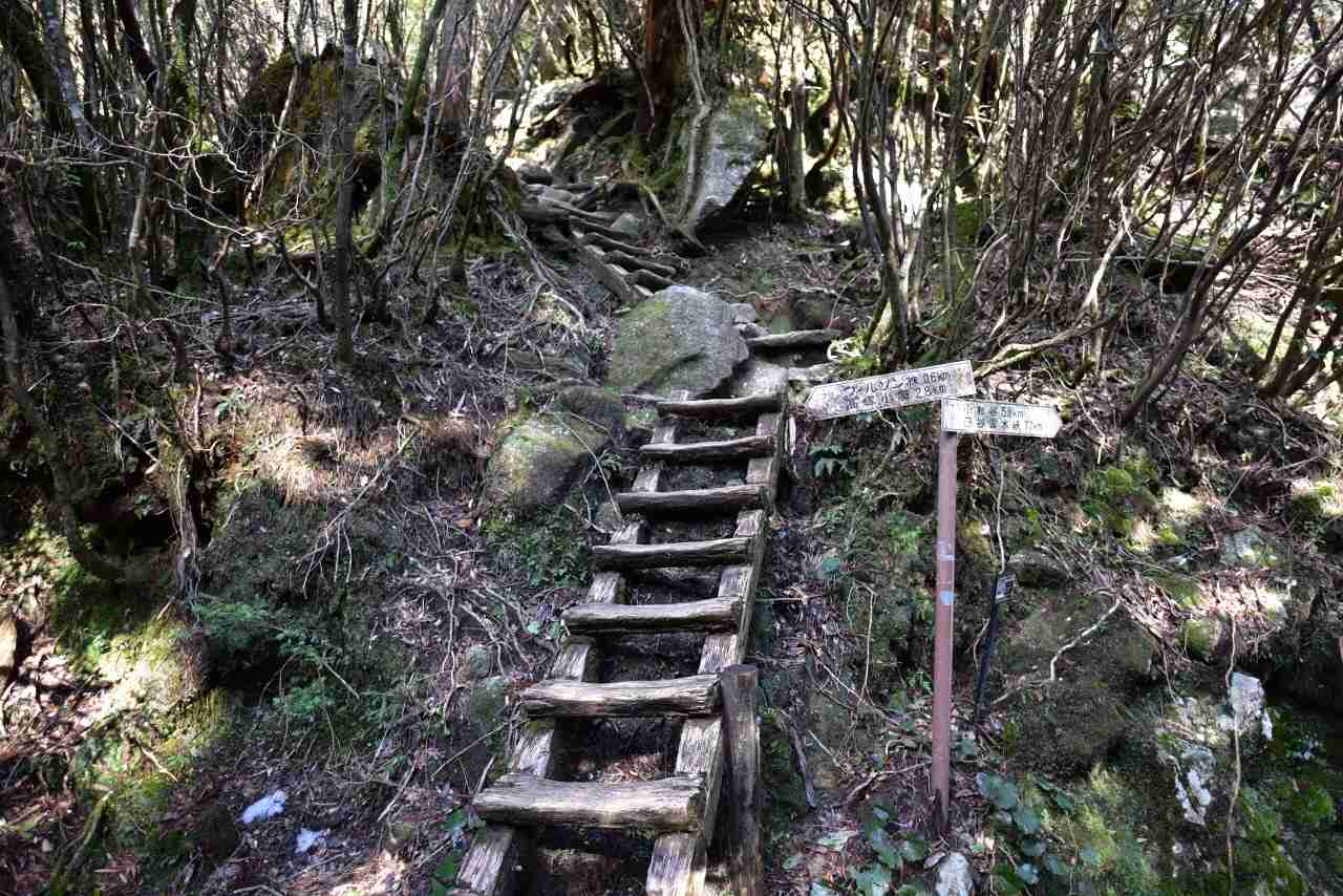 たまらなく旅行したくなるトピ