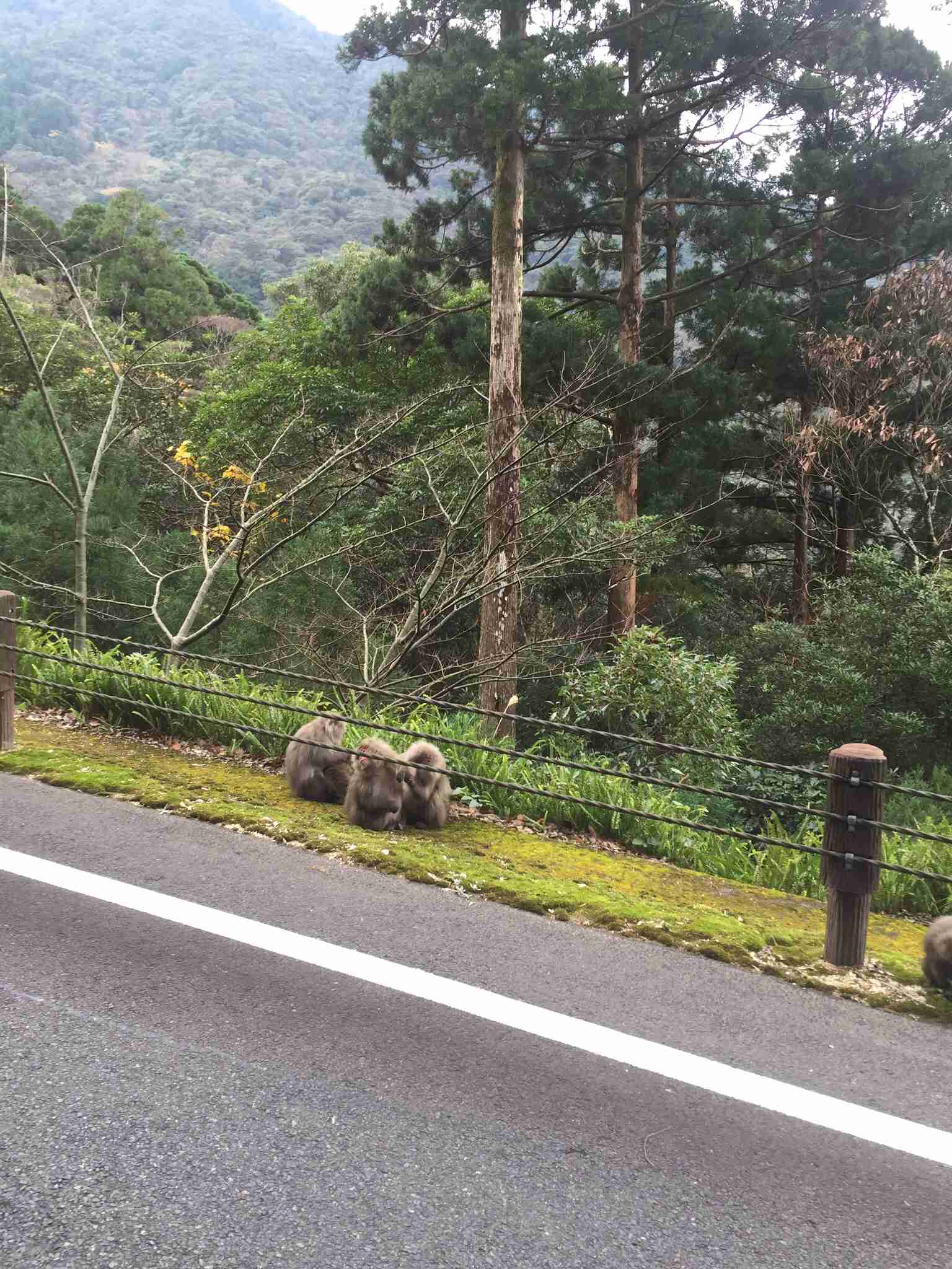 たまらなく旅行したくなるトピ