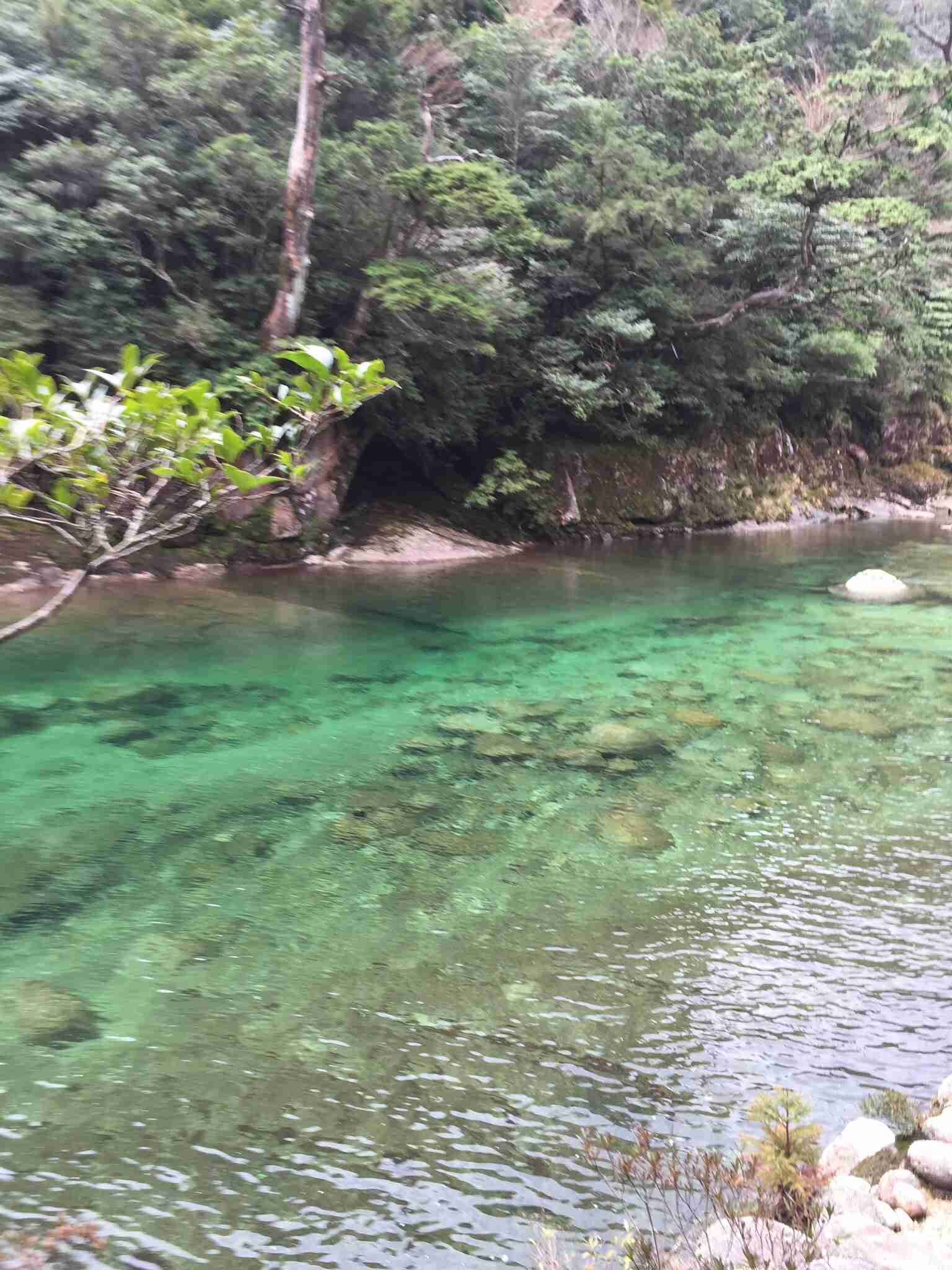 たまらなく旅行したくなるトピ